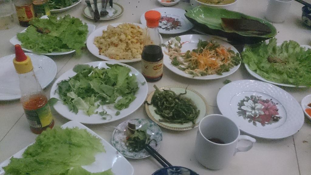 Green Valley Homestay Hoi An Esterno foto